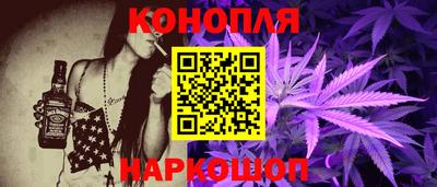 гидра Камышлов