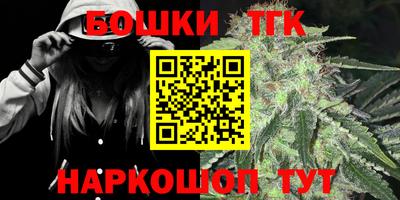 гидра Камышлов