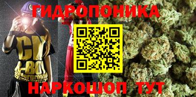 стаф Канаш