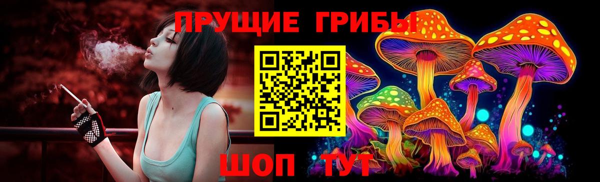 Кубинка  Псилоцибиновые грибы мицелий  Галлюциногенные грибы Psilocybine cubensis  Вход с VPN 